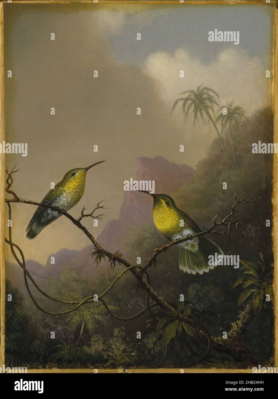 Two Humming Birds: 'Copper-tailed Amazili', Martin Johnson Heade, American, 1819-1904, Oil on canvas, ca.1865-1875, 11 9/16 x 8 7/16 in., 29.3 x 21.5 cm, American Painting, animal, birds, branches, clouds, Copper-tailed Amzaiii, humming birds, hummingbirds, Johnson Heade, landscape, Martin Johnson Heade, mid 19th century painting, oil, oiseau, oiseau-mouche, painting, purple mountains, sky, trees, tropical, x-ray, yellow Stock Photo