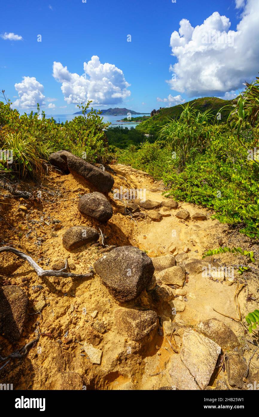 hikink in the jungle on curieuse island on the seychelles Stock Photo -  Alamy