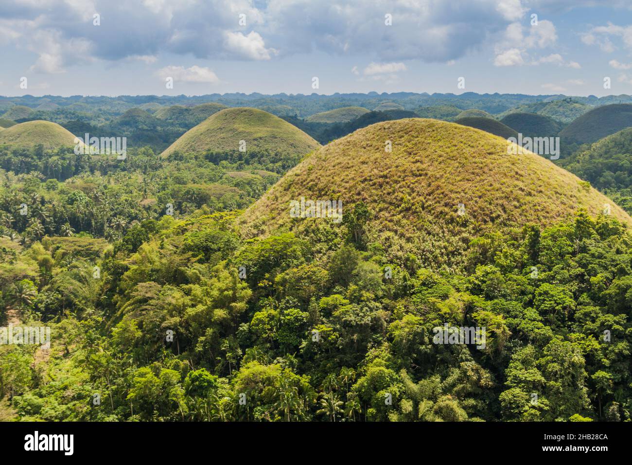 Geological formation The Chocolate Hills on Bohol island, Philippines