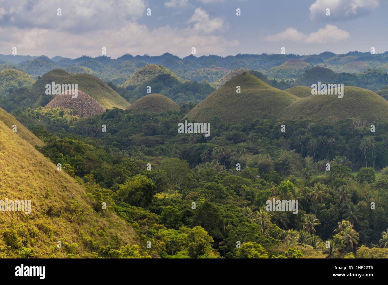 Geological formation The Chocolate Hills on Bohol island, Philippines Stock Photo Alamy