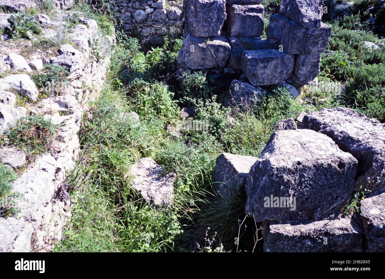 Prehistoric archaeological site at Ugarit, Syria in 1998 - Temple of Baal Stock Photo