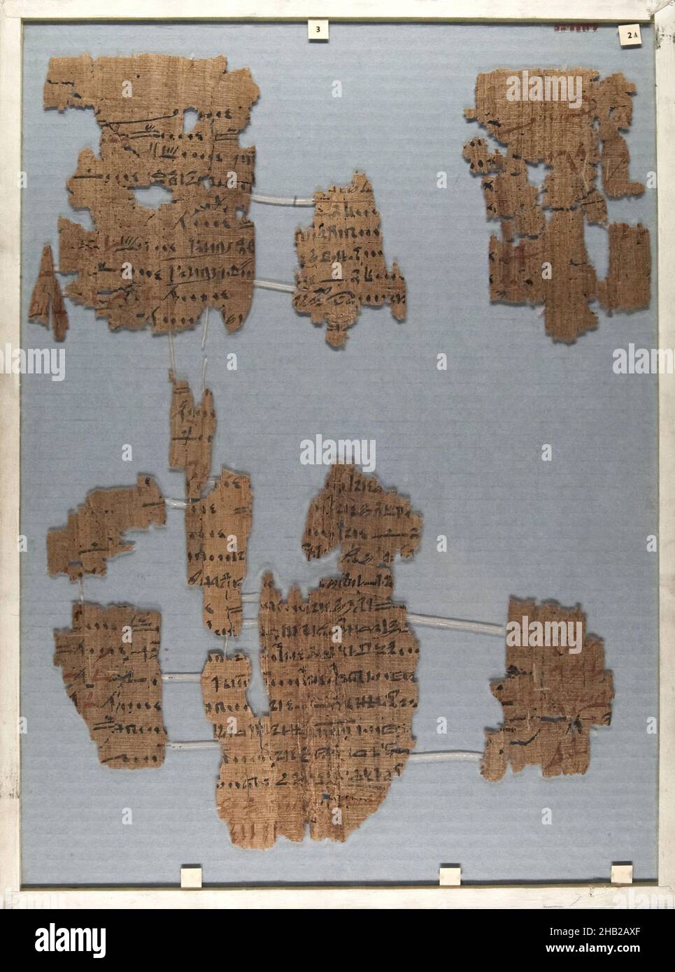 The Wilbour Papyrus, Papyrus, ink, Middle Egypt, Egypt, ca. 1147 B.C.E., Dynasty 20, New Kingdom, Glass: 13 3/8 x 18 1/8 in., 34 x 46 cm Stock Photo
