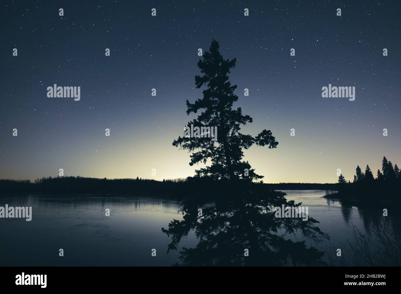 Stars in Night Sky over Astotin Lake, Elk Island National Park, Alberta, Canada Stock Photo