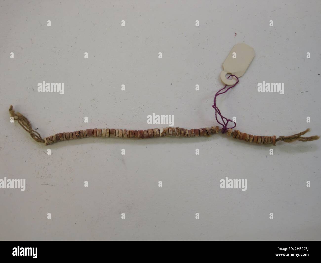 String of Beads, Cotton, spondylus shell, 1/8 × 1/8 × 5 1/2 in., 0.3 × 0.3 × 14 cm Stock Photo