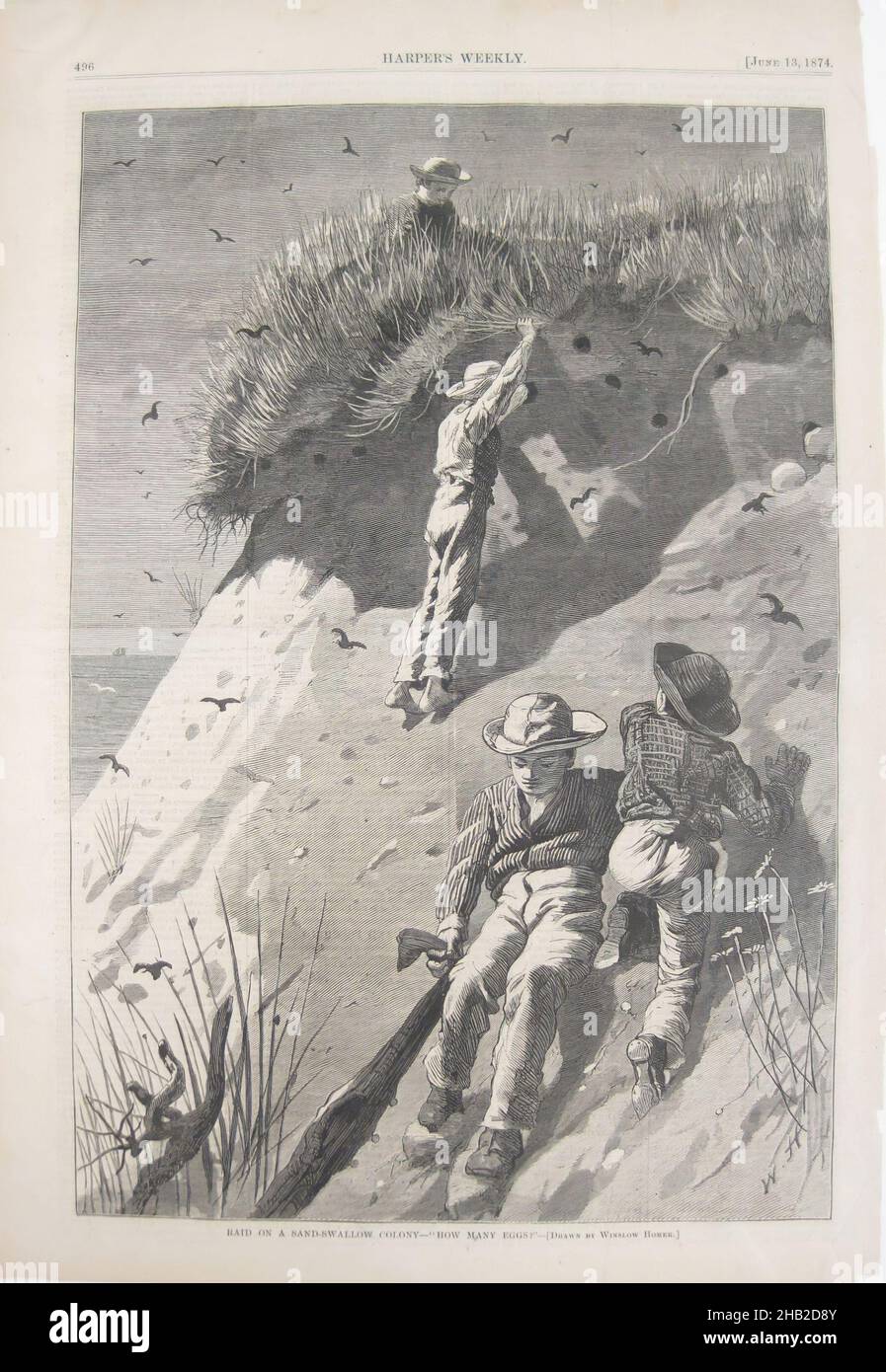 Raid on a Sand-Swallow Colony - How Many Eggs, Winslow Homer, American, 1836-1910, Wood engraving on paper, ca. 1874, Image: 13 1/2 x 9 1/8 in., 34.3 x 23.2 cm Stock Photo