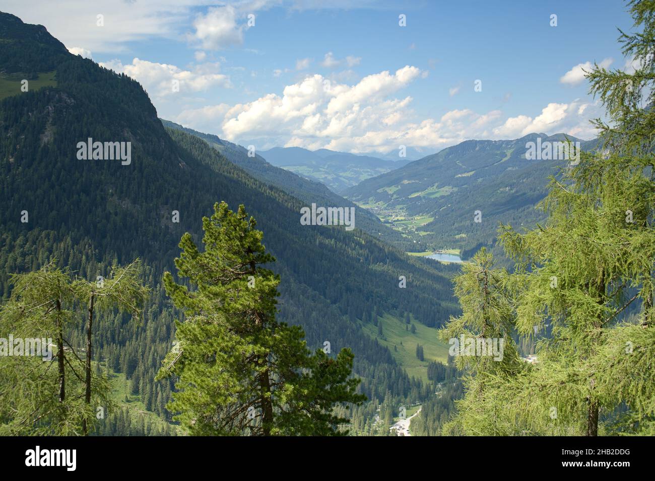 Scenic view of mountains covered with green forests of firs on s blue ...