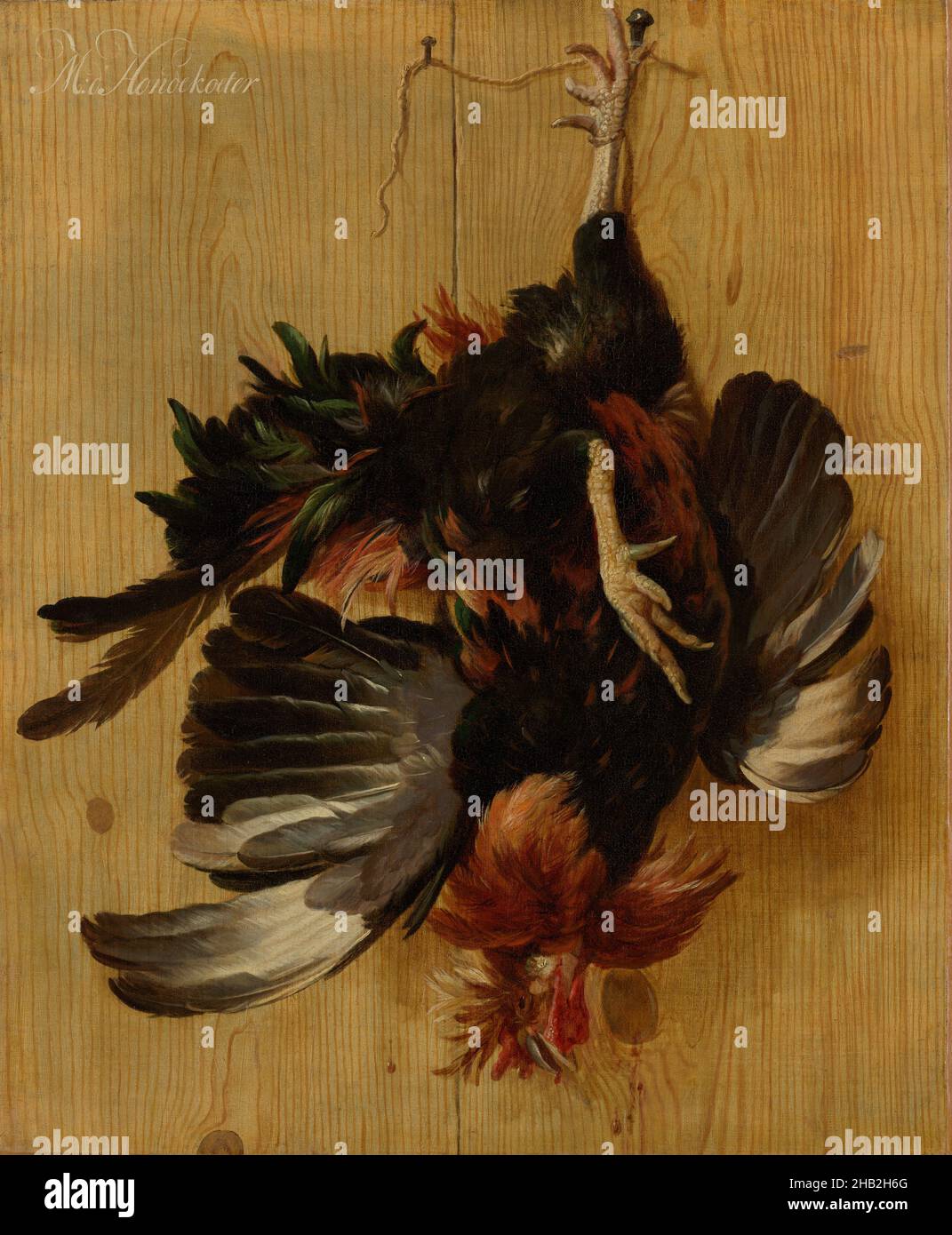 Dead rooster hanging from a nail hires stock photography and images