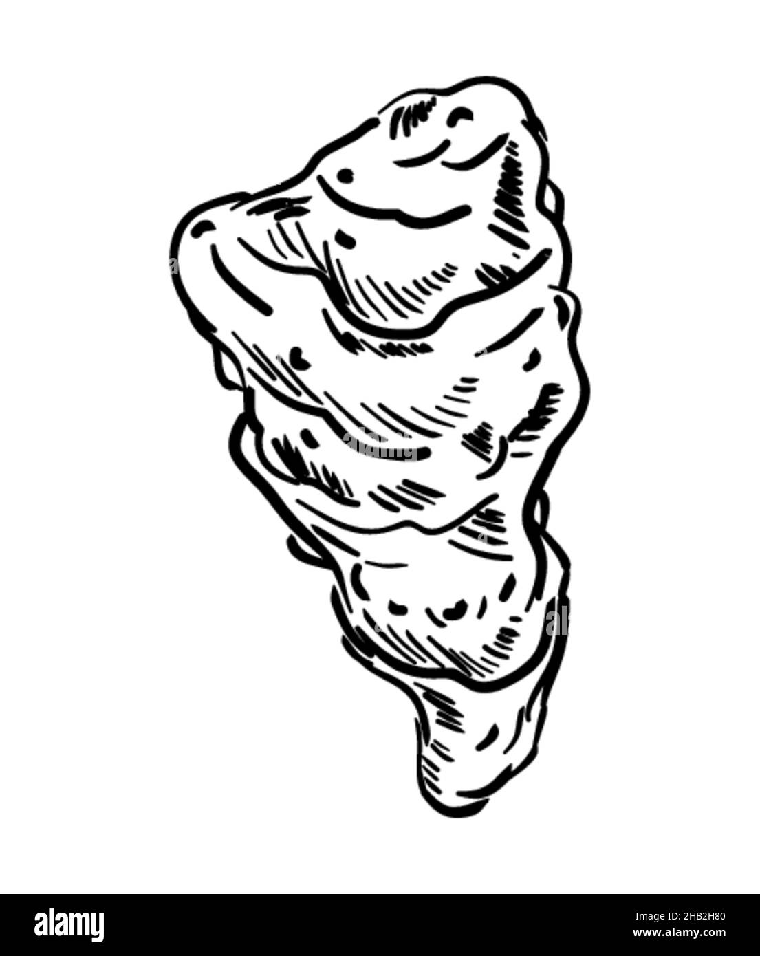 Jerusalem artichoke hand drawing isolated. root vegetable vector ...