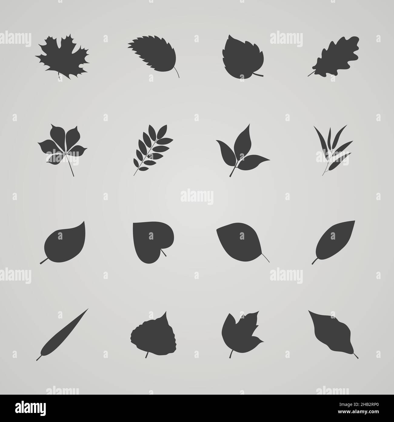 Set of leaves, vector illustration Stock Vector