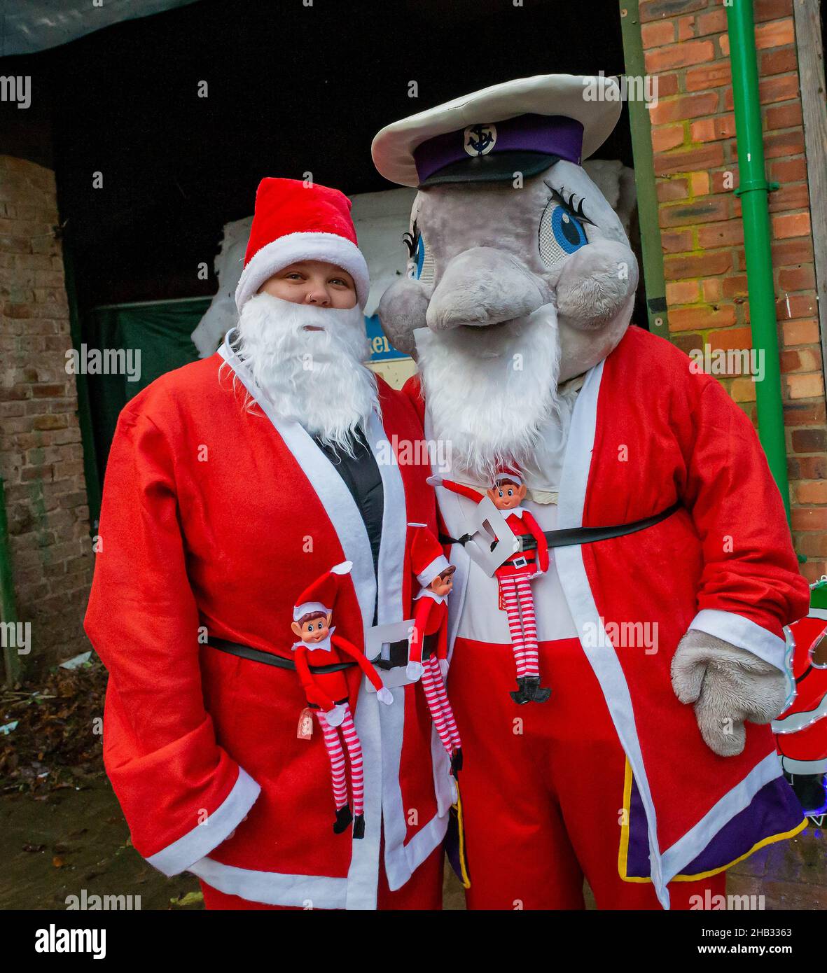 Santa Dash runners pose for camera - one in a Dolphin outfit Stock Photo