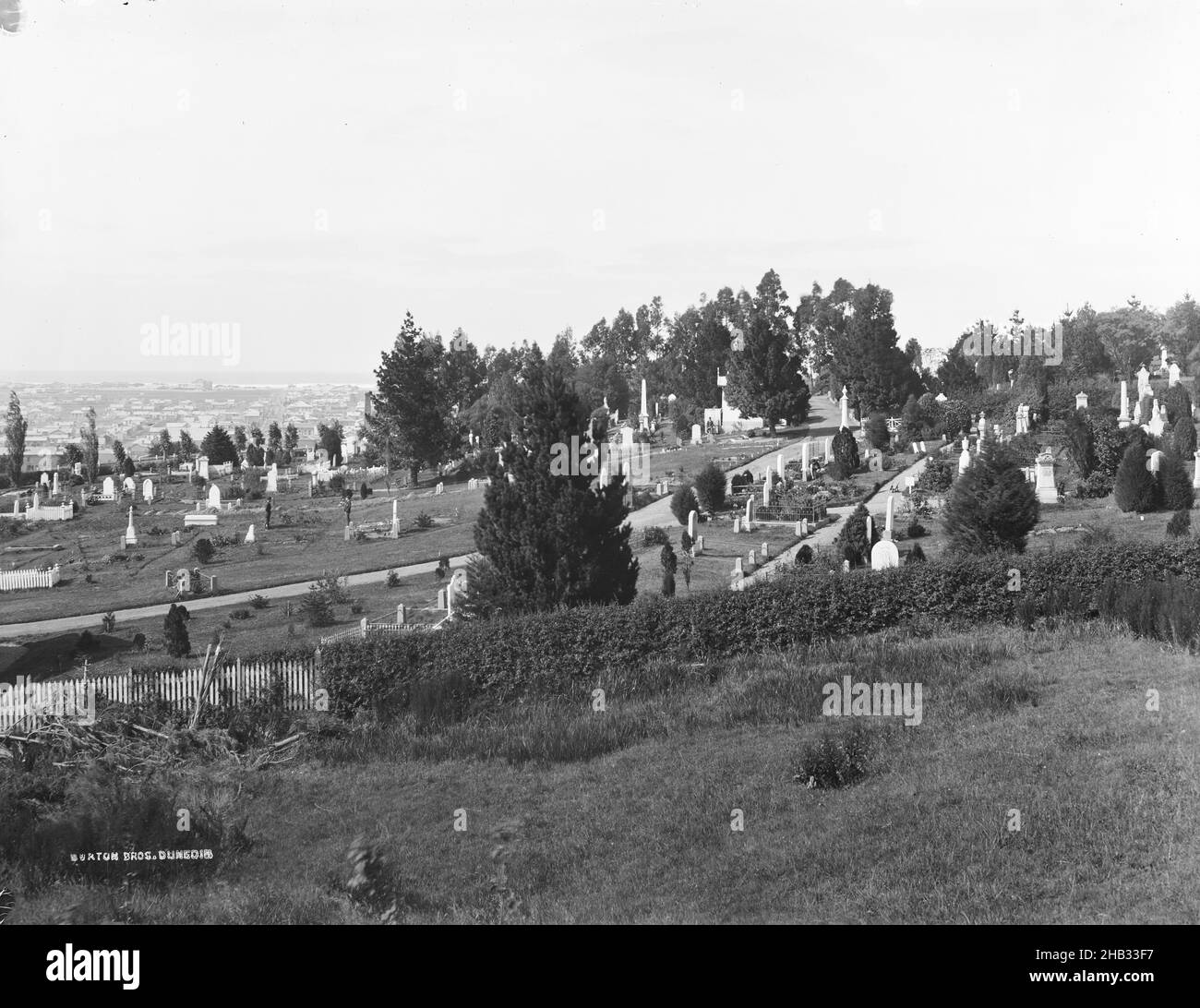[Dunedin, southern cemetery], Burton Brothers studio, photography