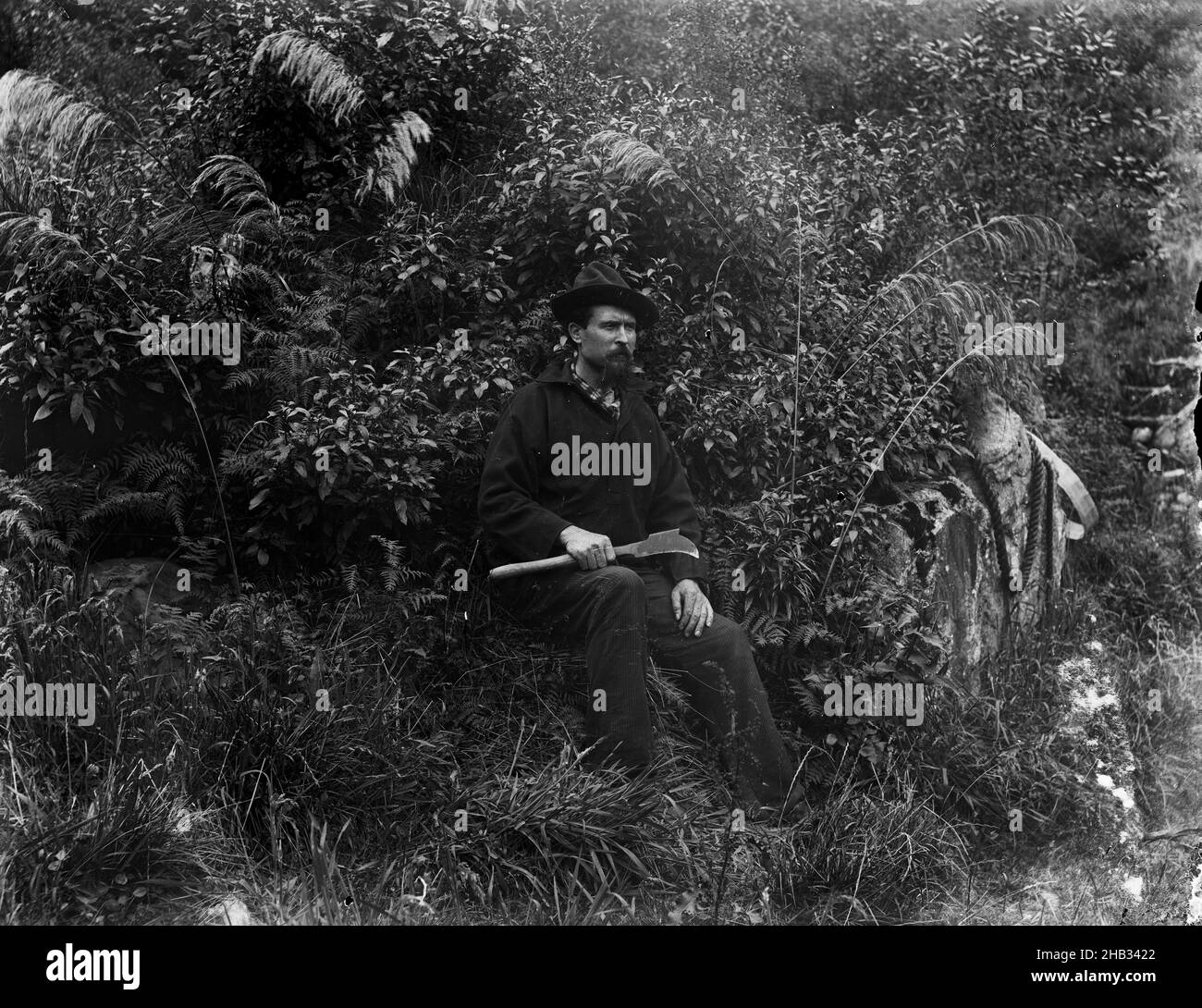 D. Sutherland, The Milford Sound Hermit, Burton Brothers studio, photography studio, January 1888, New Zealand, black-and-white photography, Formal outdoor portrait of Donald Sutherland seated in bush setting and looking away from the camera Stock Photo