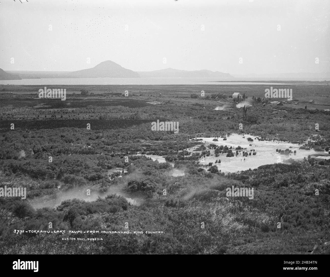 Tokaanu, Lake Taupo, from Munganamo, King Country, Burton Brothers studio, photography studio, New Zealand, black-and-white photography Stock Photo