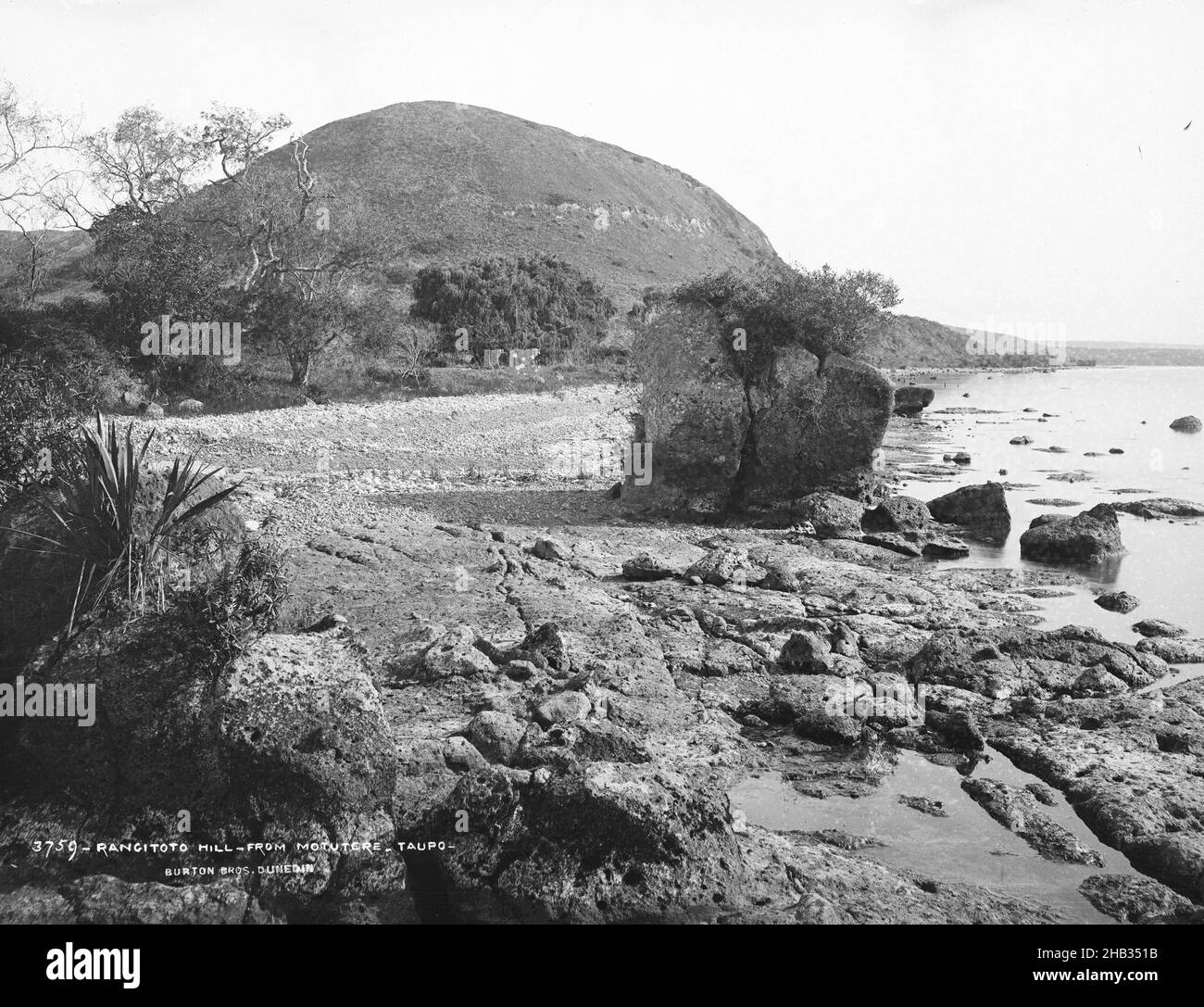 Rangitoto Hill, from Motutere, Taupo, Burton Brothers studio, photography studio, New Zealand, black-and-white photography Stock Photo