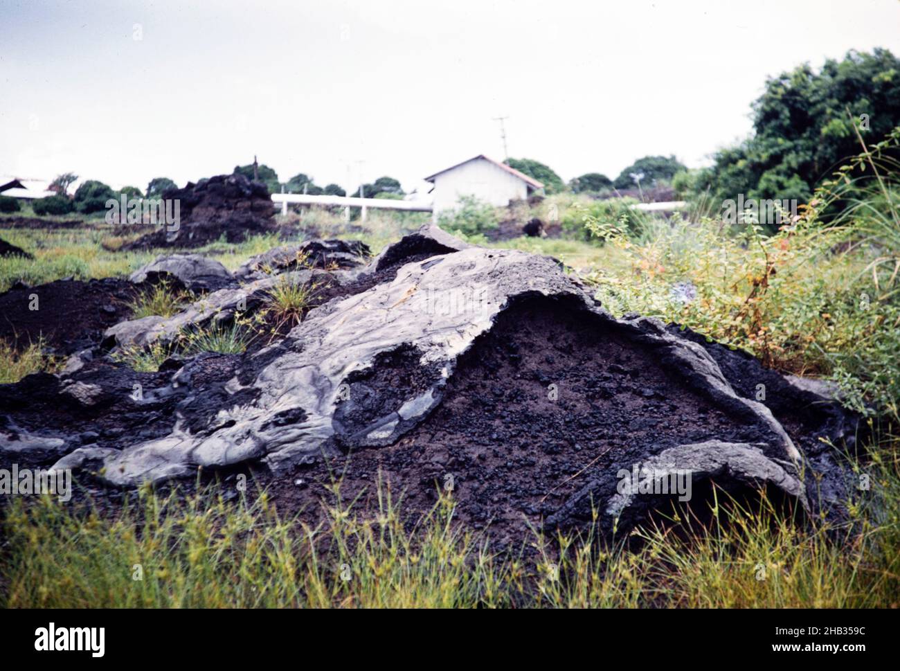 Naturally occurring mounds of pitch tar asphalt La Brea Pitch Lake, Trinidad early 1960s Stock
