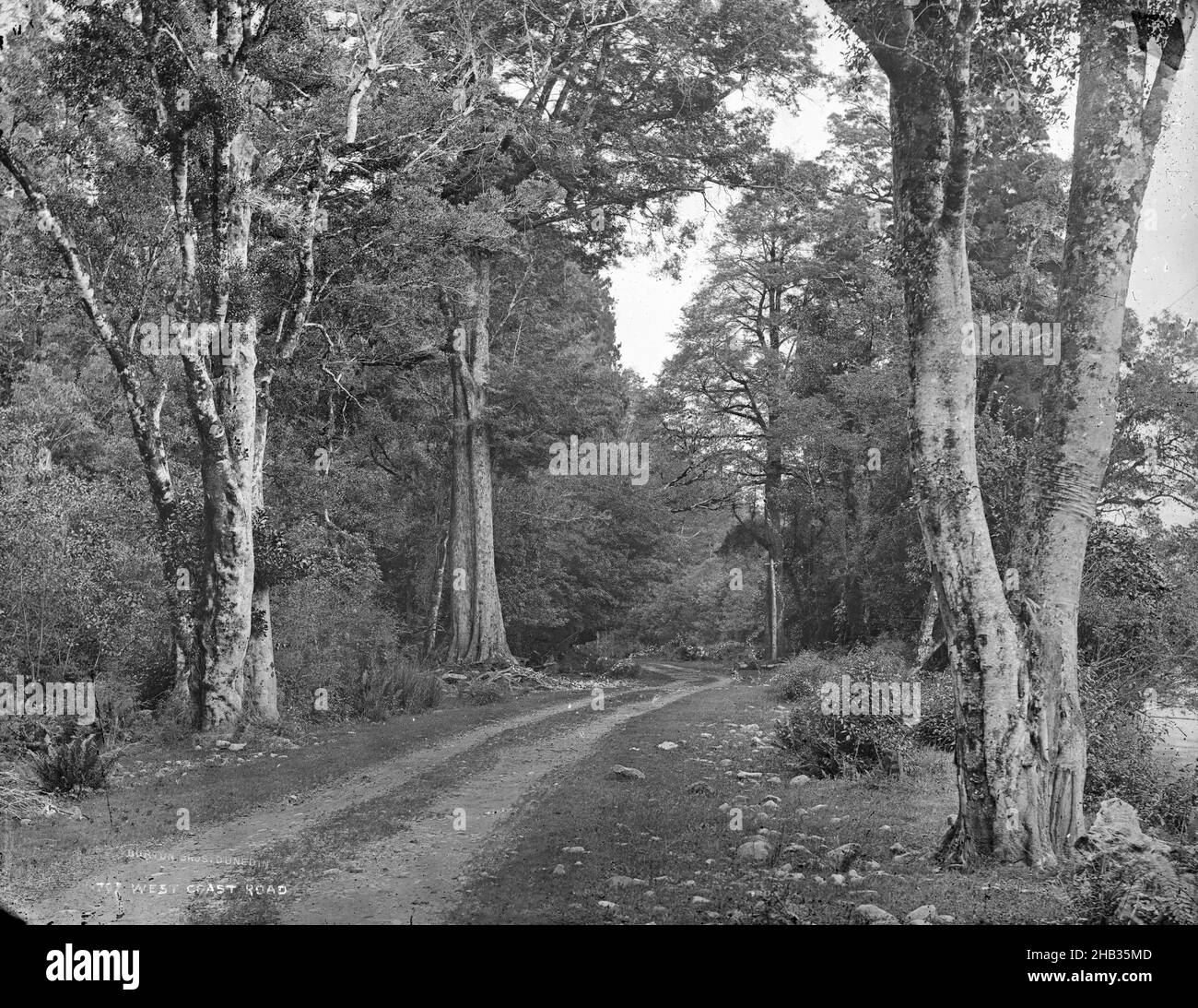 West Coast Road, Burton Brothers studio, photography studio, 1879 ...