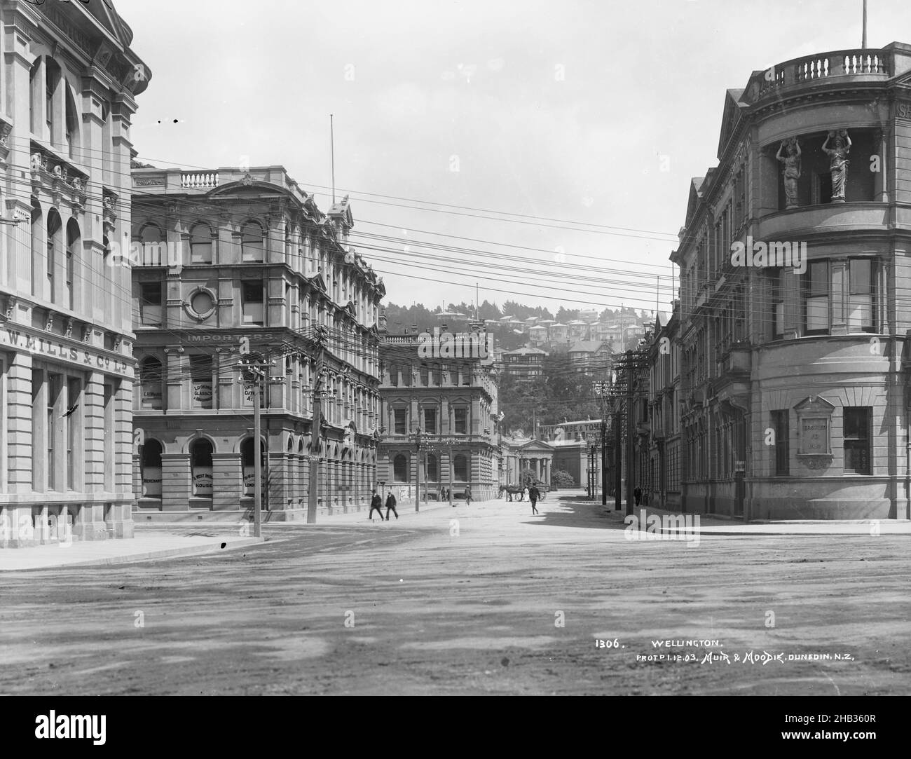 Wellington, Muir & Moodie studio, photography studio, circa 1903