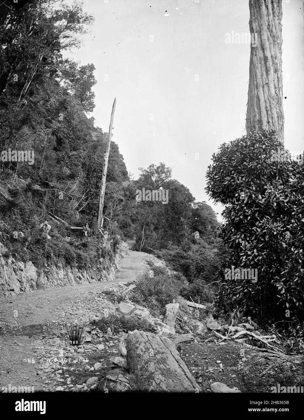 West Coast Road, Burton Brothers studio, photography studio, 1879 ...