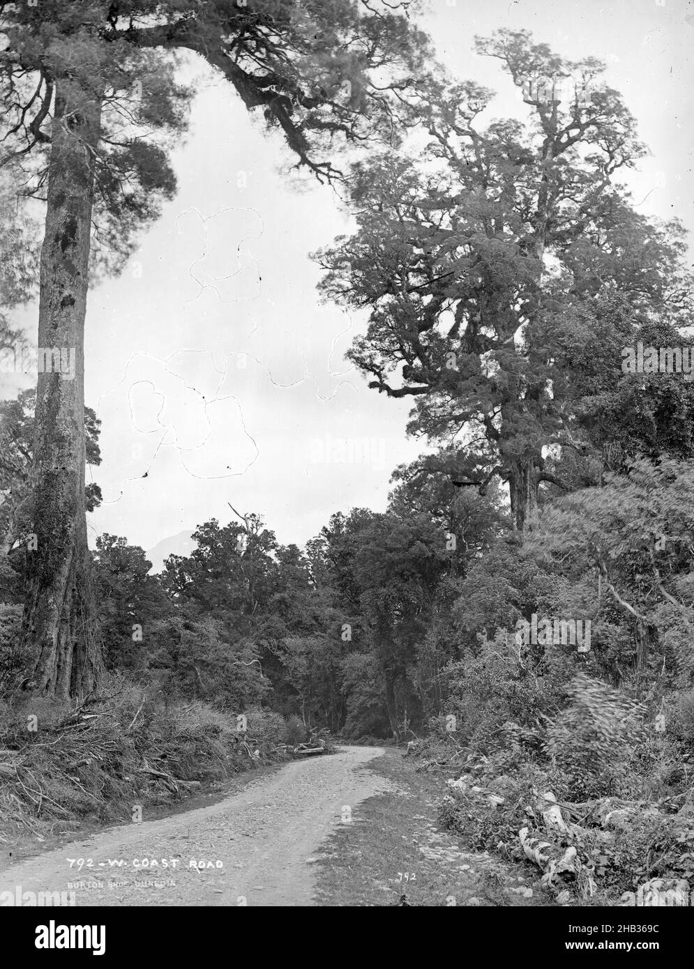 West Coast Road, Burton Brothers studio, photography studio, 1879 ...