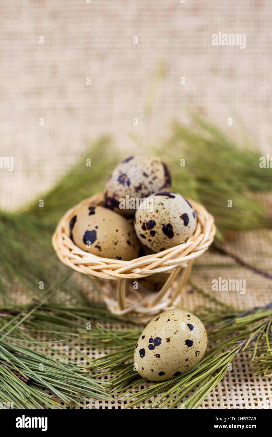 Pin by Kushalagarwal on Eggs