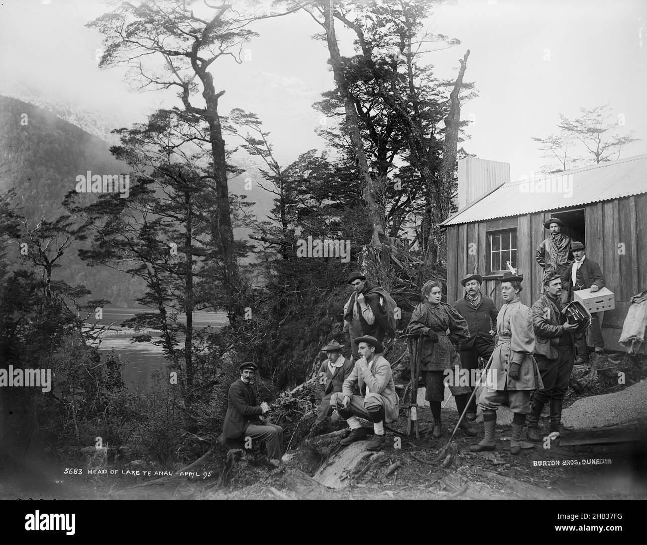 Trees beyond Black and White Stock Photos Images Alamy Trees beyond Black and White Stock Photos Images Alamy