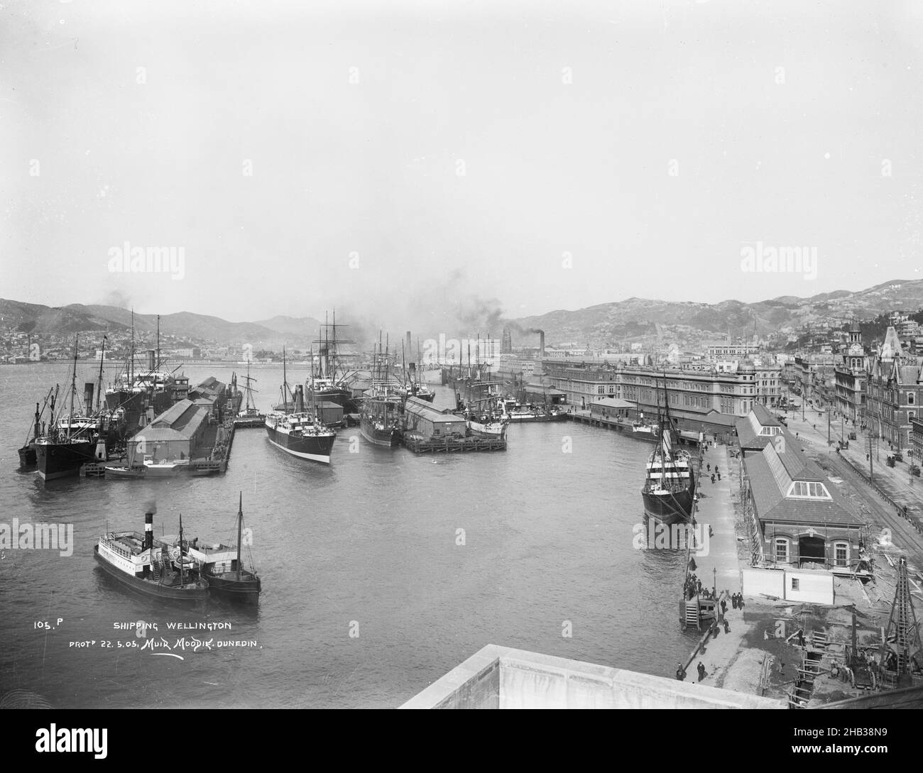 Shipping, Wellington, Muir & Moodie studio, photography studio, circa