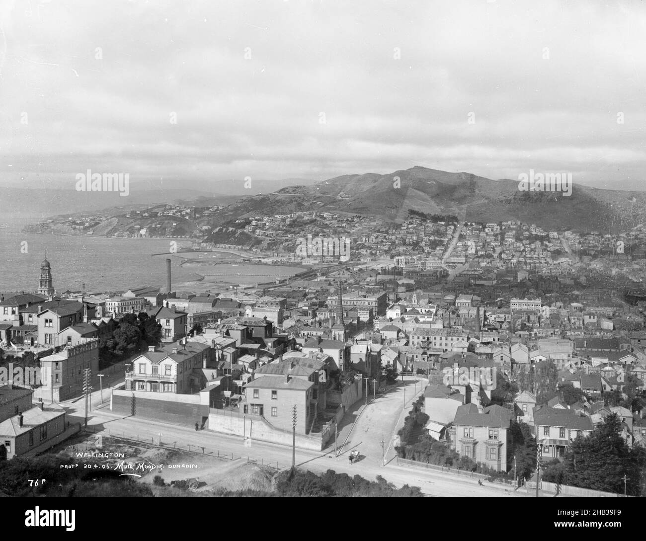 Wellington, Muir & Moodie studio, photography studio, circa 1905