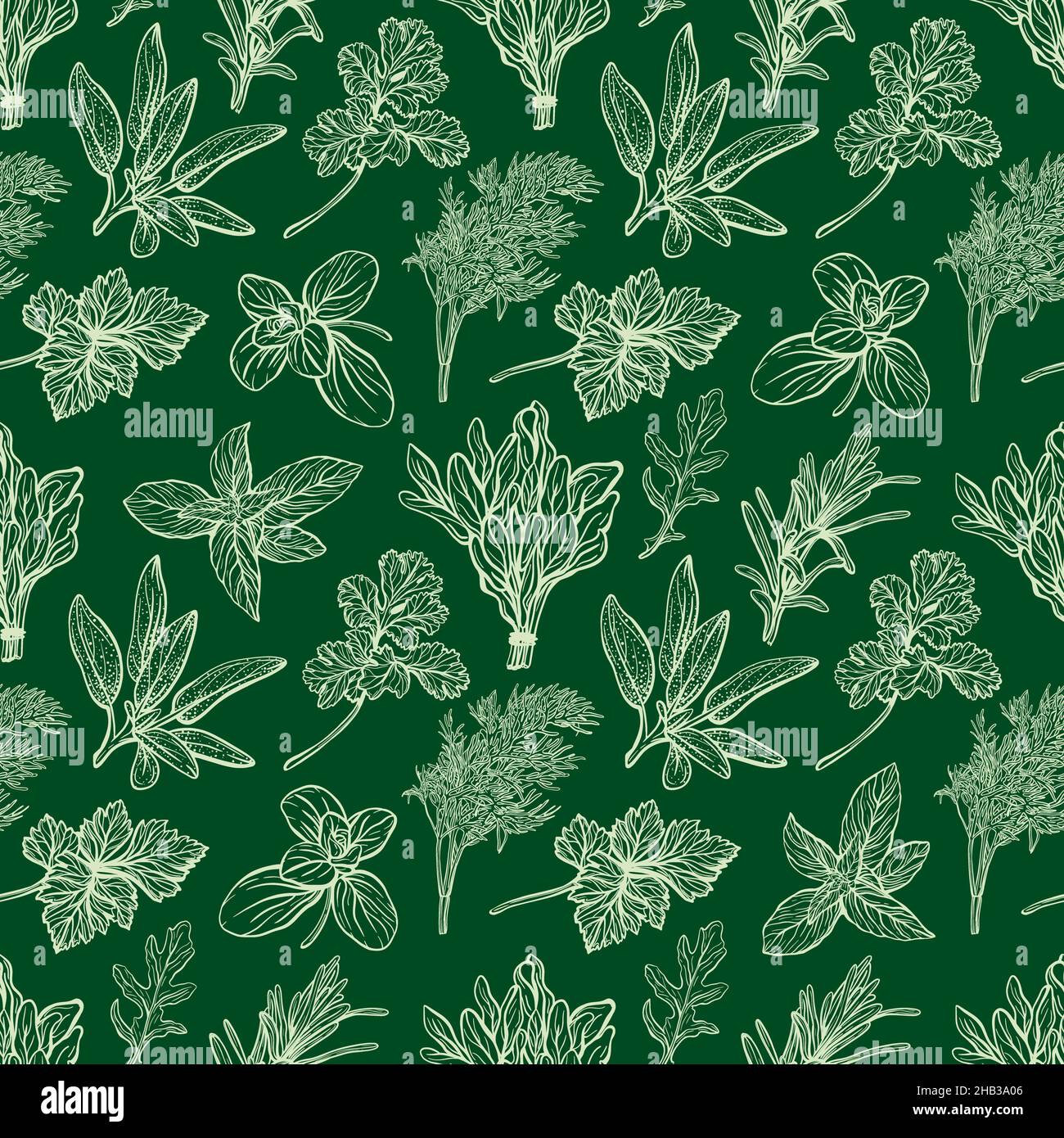 Italian herbs pattern. Provencal herbs pattern Stock Photo Alamy