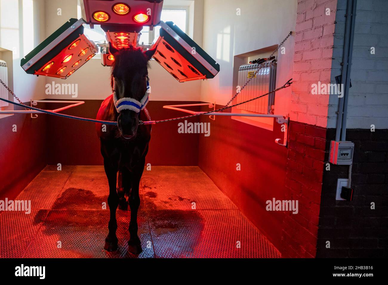 Vitamin d deficiency hires stock photography and images Alamy