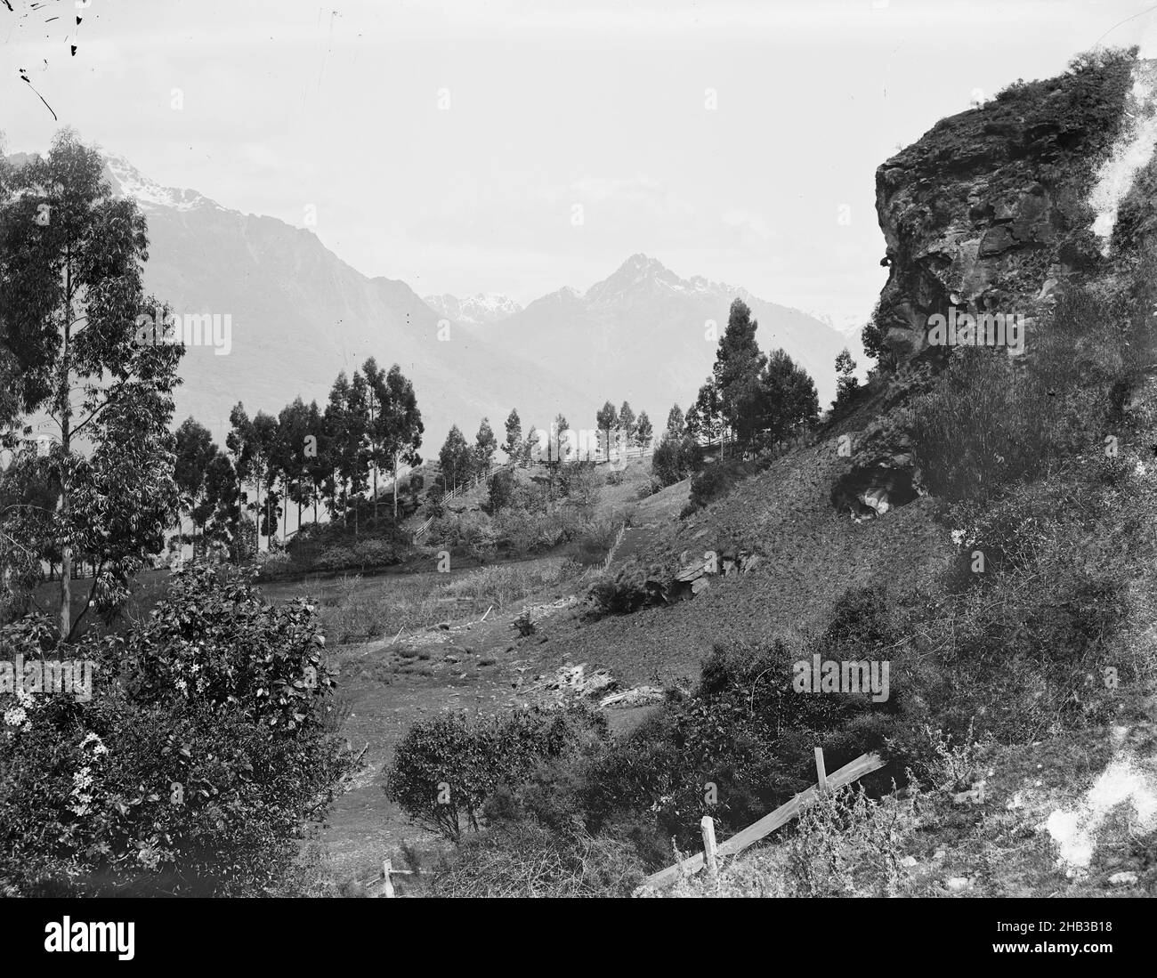 [Walter Peak, near Queenstown], Burton Brothers studio, photography