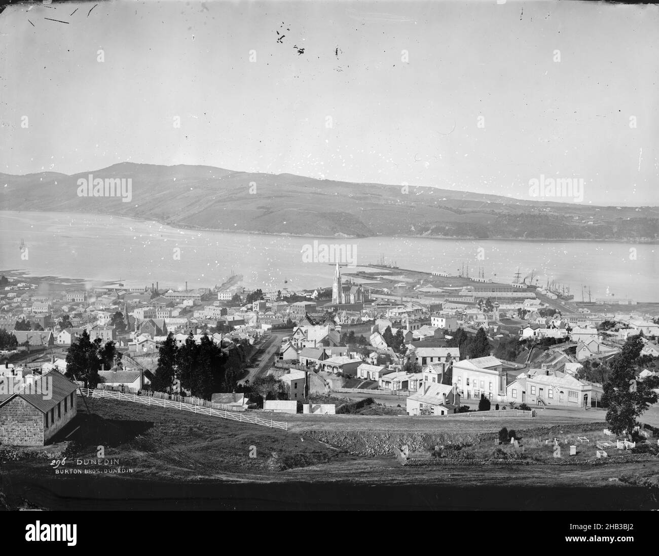 Dunedin, Burton Brothers studio, photography studio, 1870s, Dunedin, black-and-white photography, View from above town belt above Salutation Hotel across city to harbour and hills behind, the first (1st) church is visible in the centre of the image Stock Photo