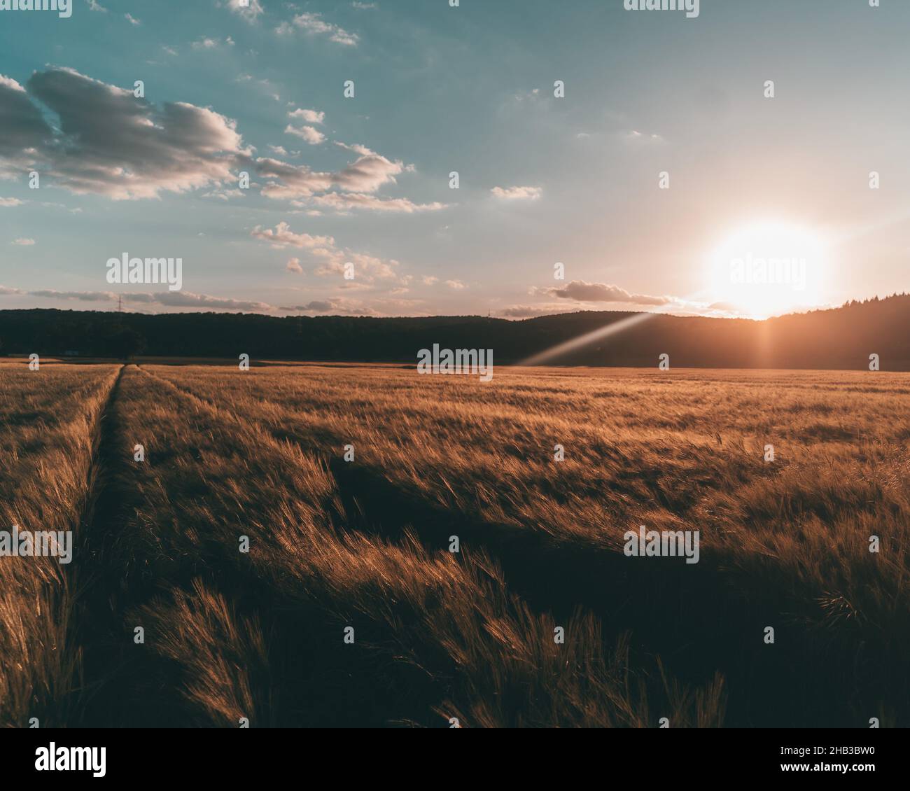 Falling field hi-res stock photography and images - Alamy