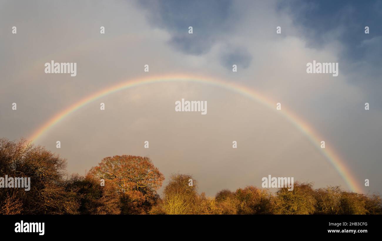 Rainbow over trees in sunlight with clouds Stock Photo