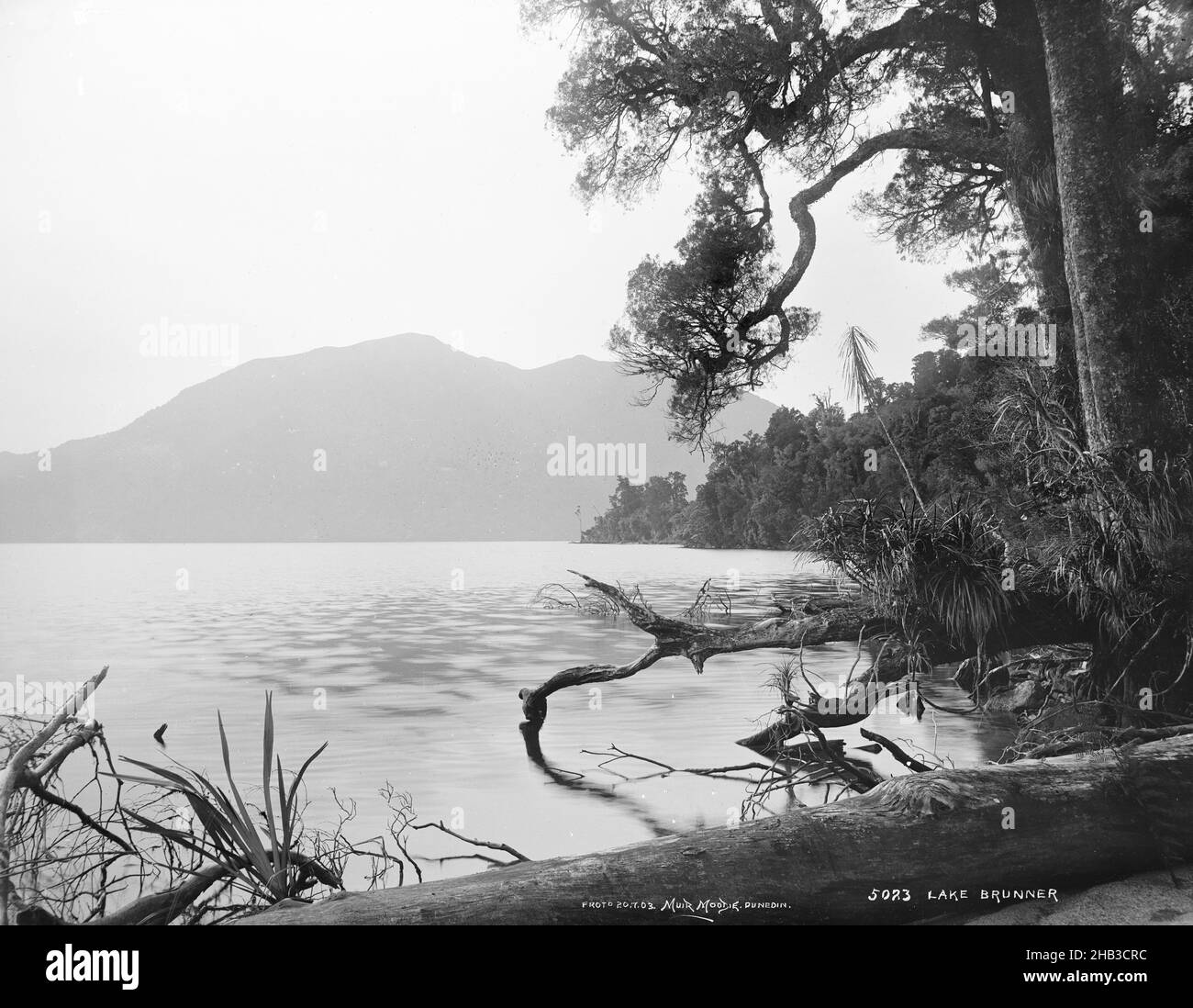Lake Brunner, Burton Brothers studio, photography studio, New Zealand