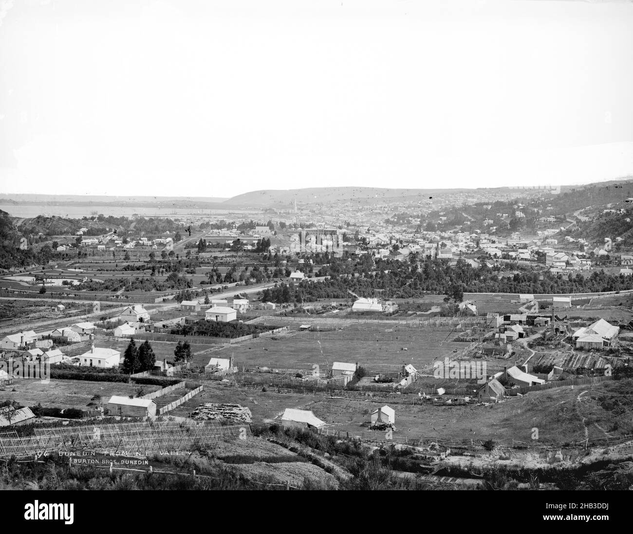 Dunedin north east valley hires stock photography and images Alamy