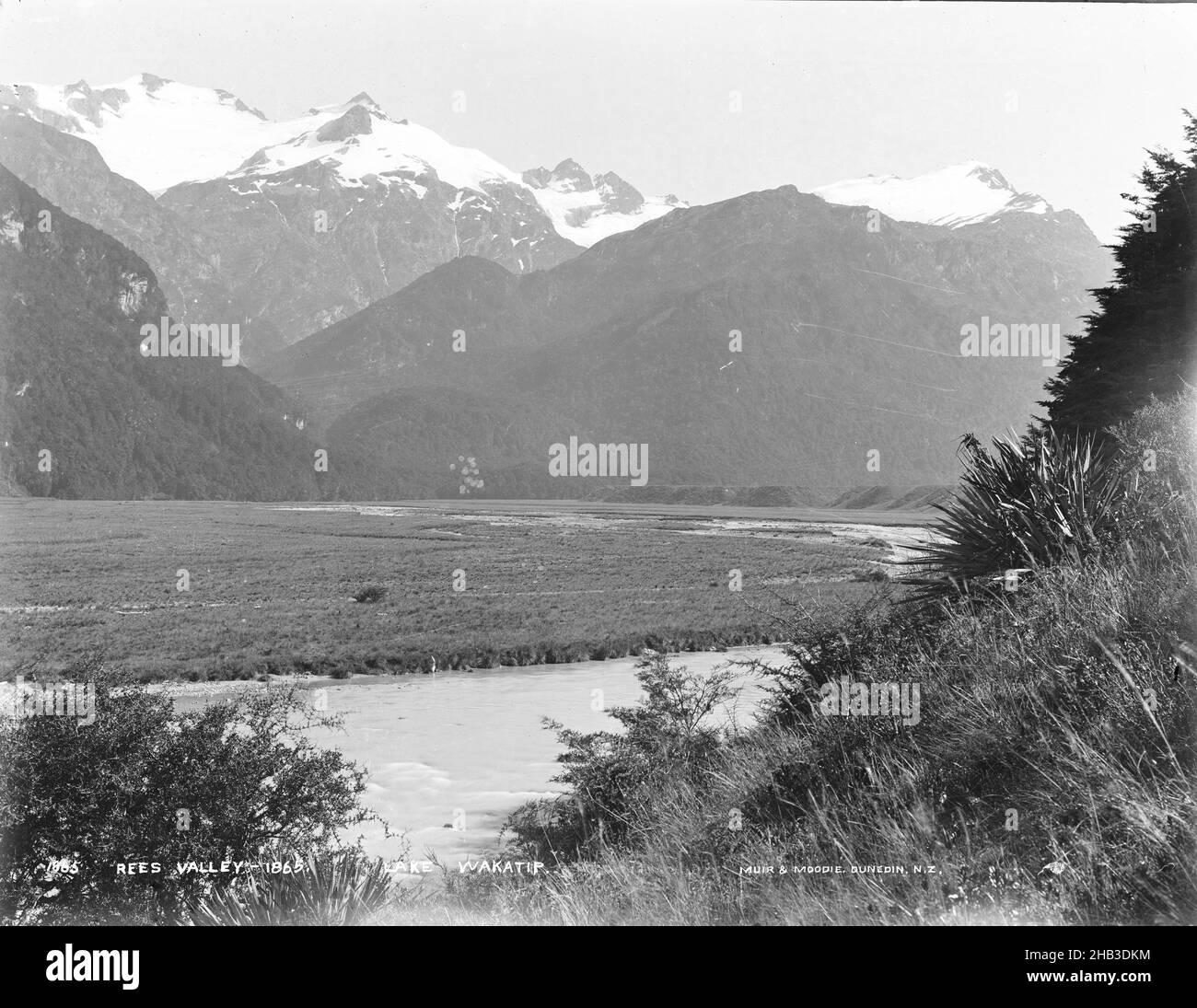 Rees Valley, Lake Wakatipu, Burton Brothers studio, photography studio, 1883, New Zealand, gelatin dry plate process, UPPER REES VALLEY MOUNT ANSTEAD (sic Ansted) LEFT CENTRE HIGH BUSH AND FLAX RIGHT LAKE WAKATIPU Stock Photo