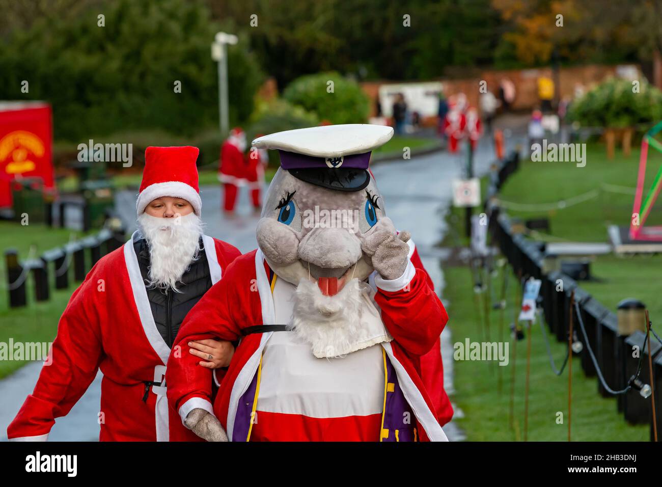 Santa Dash runners struggle up a hill - one in a Dolphin outfit Stock Photo