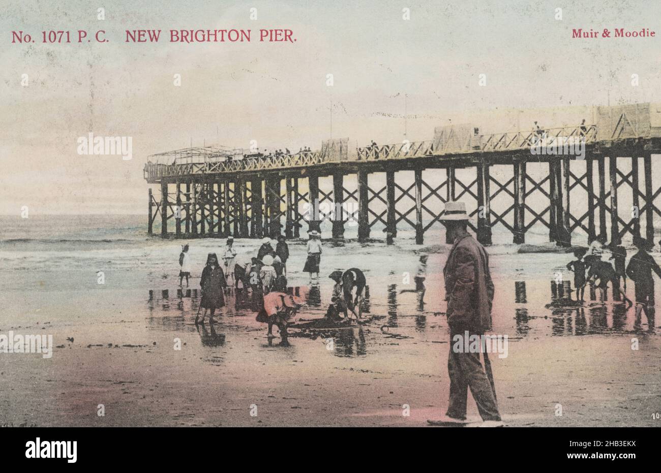 New Brighton Pier Postcard New Zealand Christchurch 