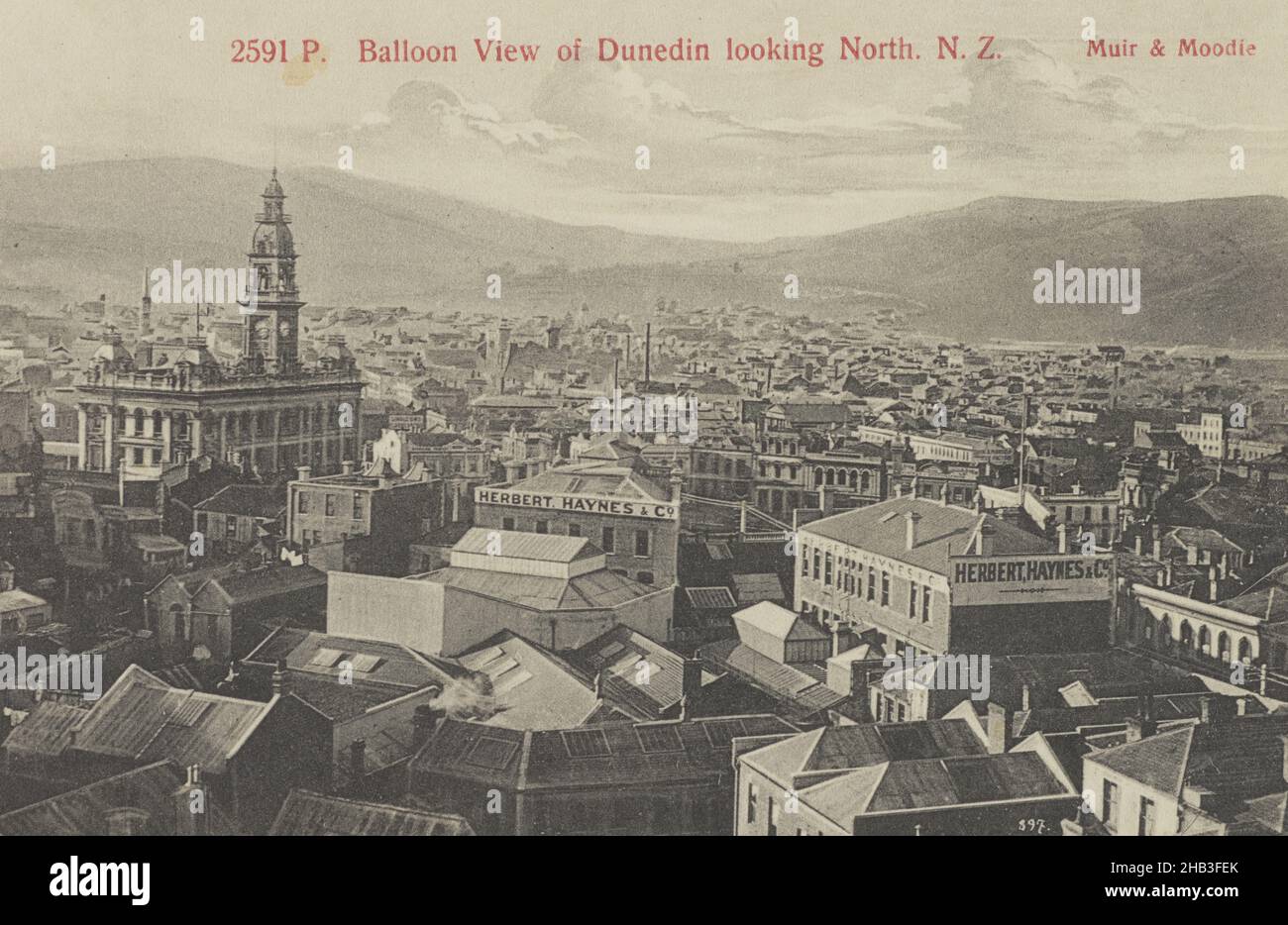 Balloon View of Dunedin looking North, New Zealand, Muir & Moodie