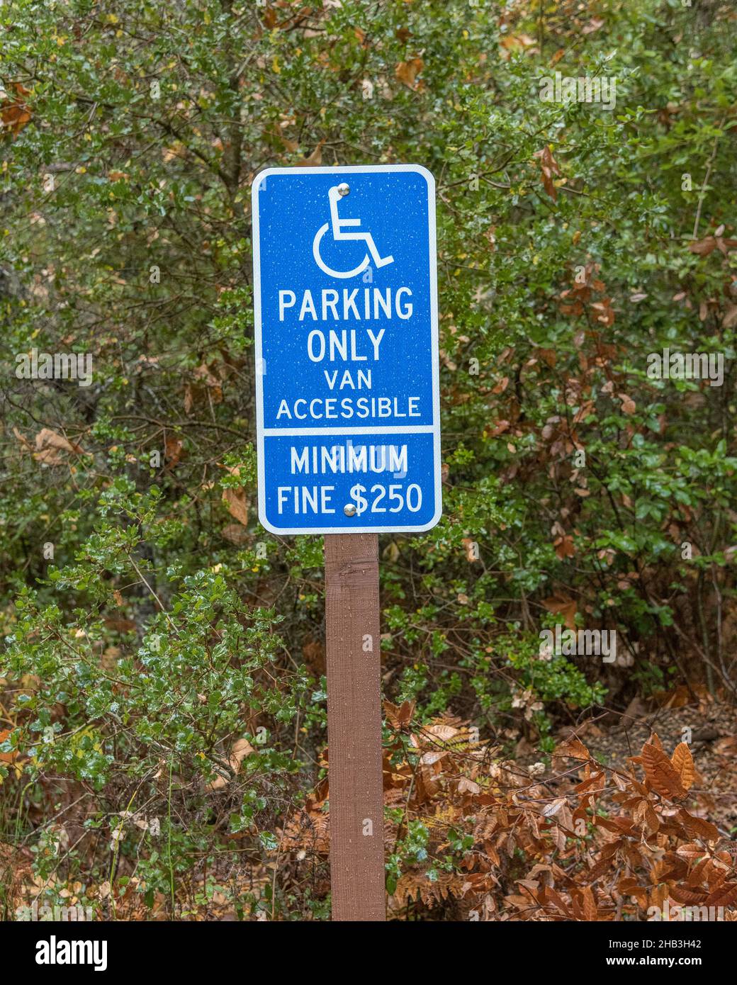 Handicapped parking Pfeiffer Big Sur SP,  in Big Sur, CA. Stock Photo