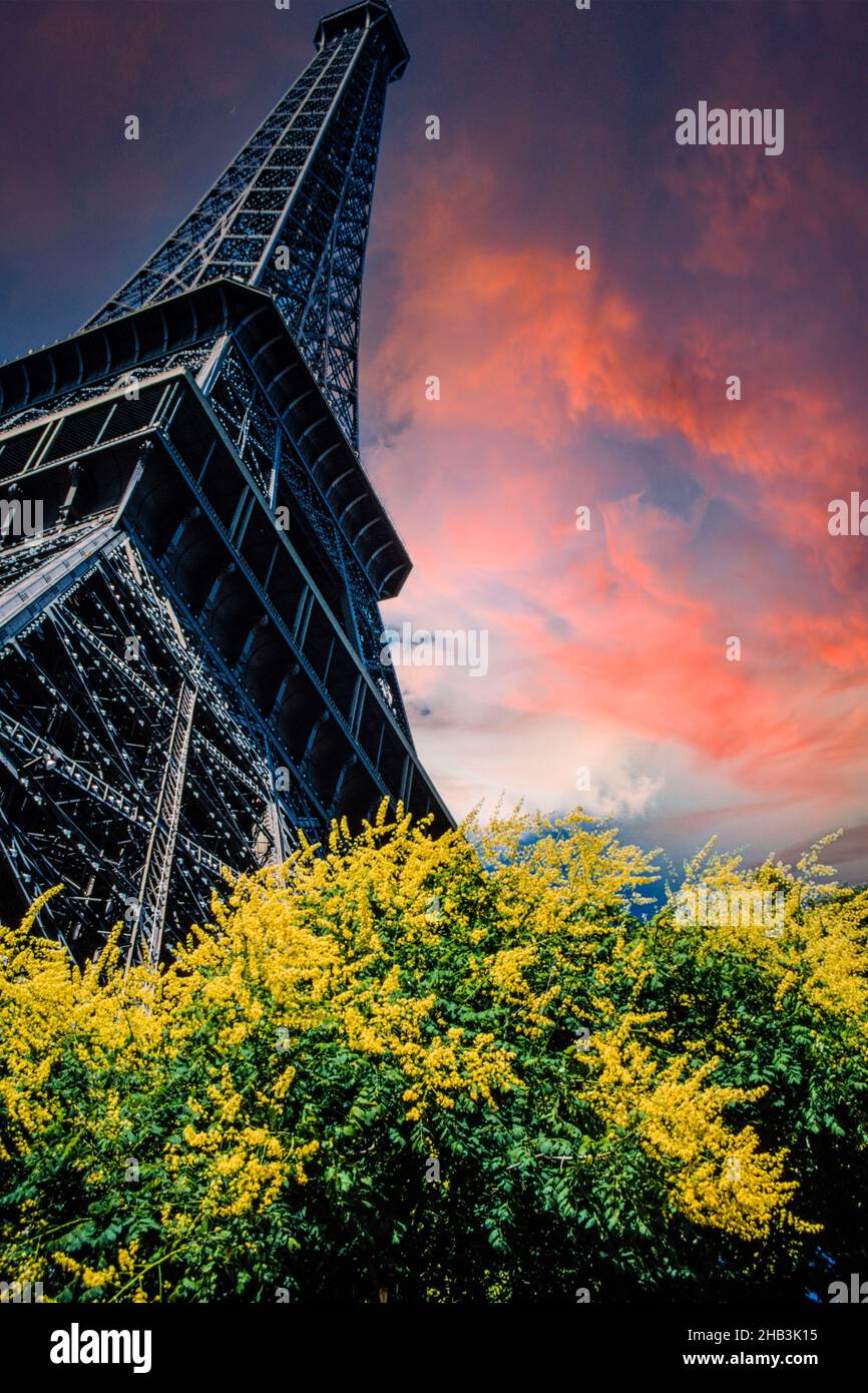Eiffel Tower, wroughtiron, Champ de Mars, Paris, France Stock Photo