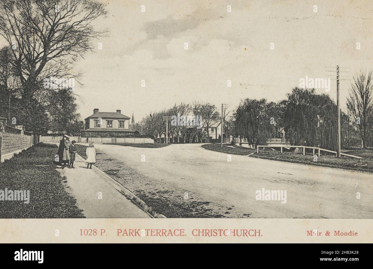 Park Terrace, Christchurch, Muir & Moodie studio, 1905, Christchurch