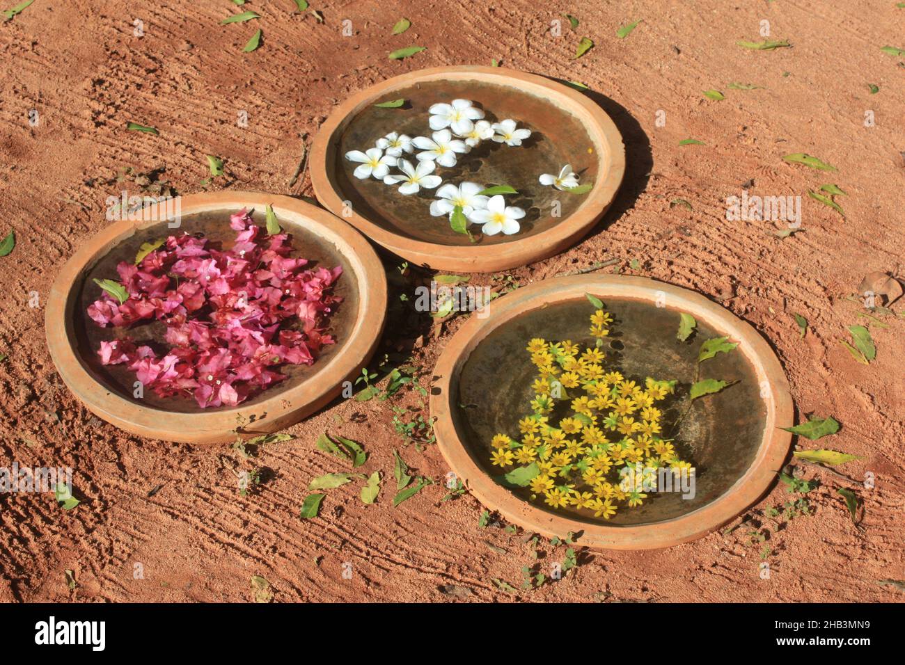 Flowers for meditations in Auroville Tamil Nadu , India Stock Photo
