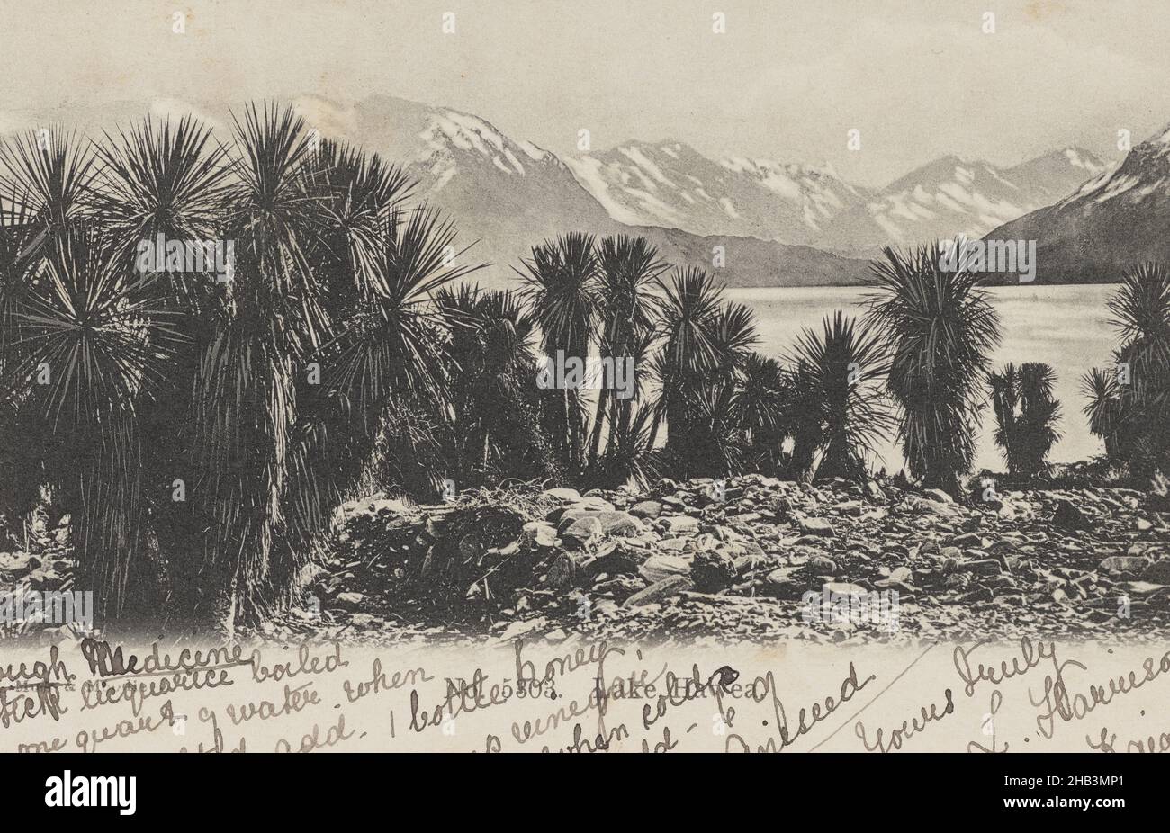 Lake Hawea, Muir & Moodie studio, printer, 1900s, Dunedin Stock Photo