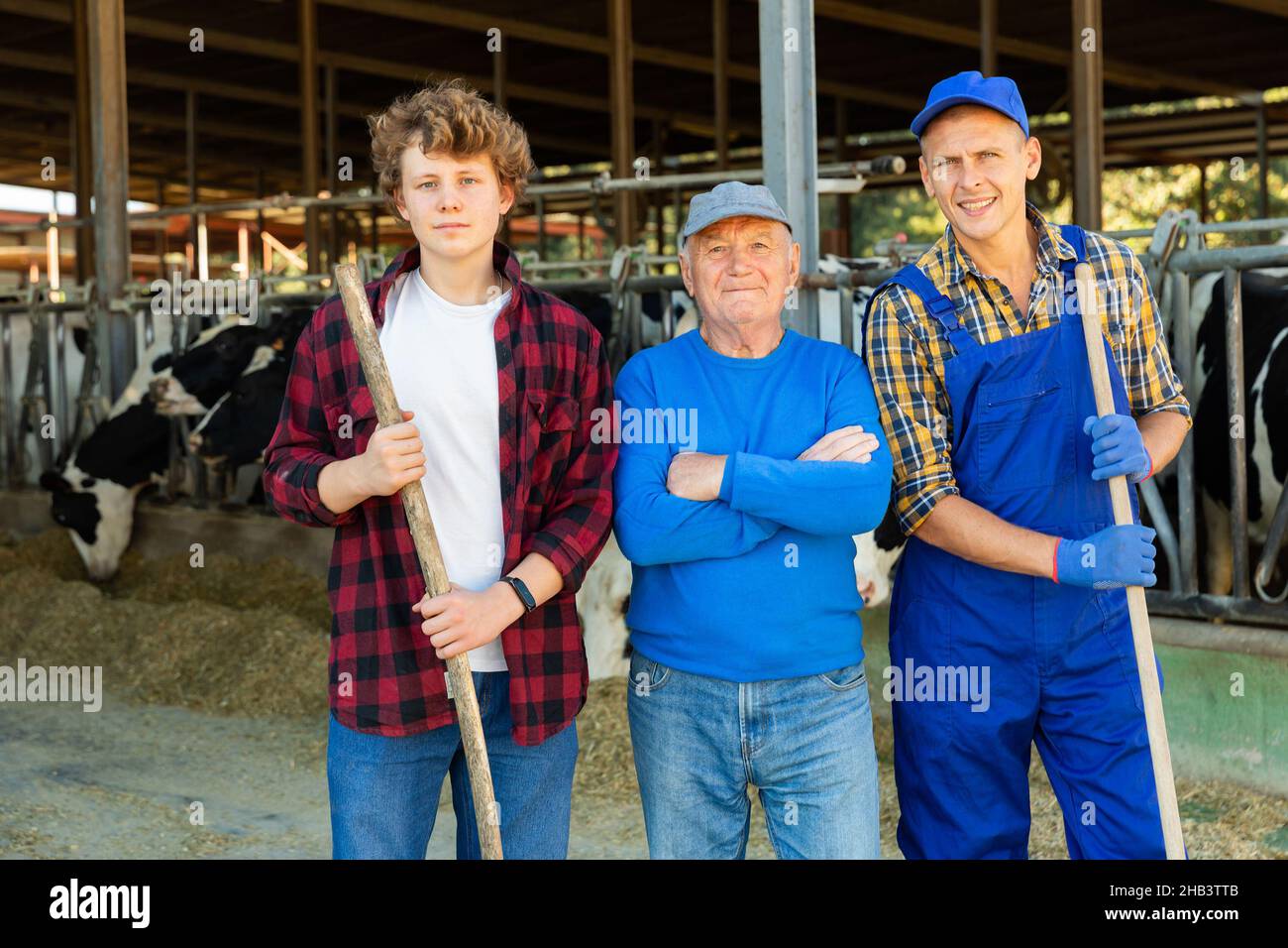 Successful elderly dairy farm owner with son and teen grandson standing ...