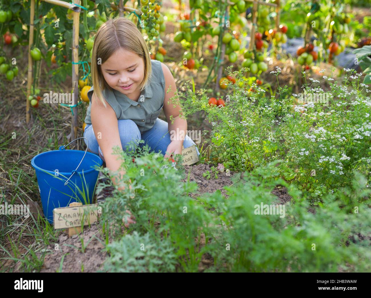 Smiling little girl at the farm Stock Photo - Alamy