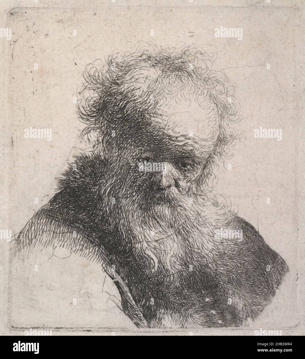 Bust of an old man with flowing beard and white sleeve., Rembrandt van ...