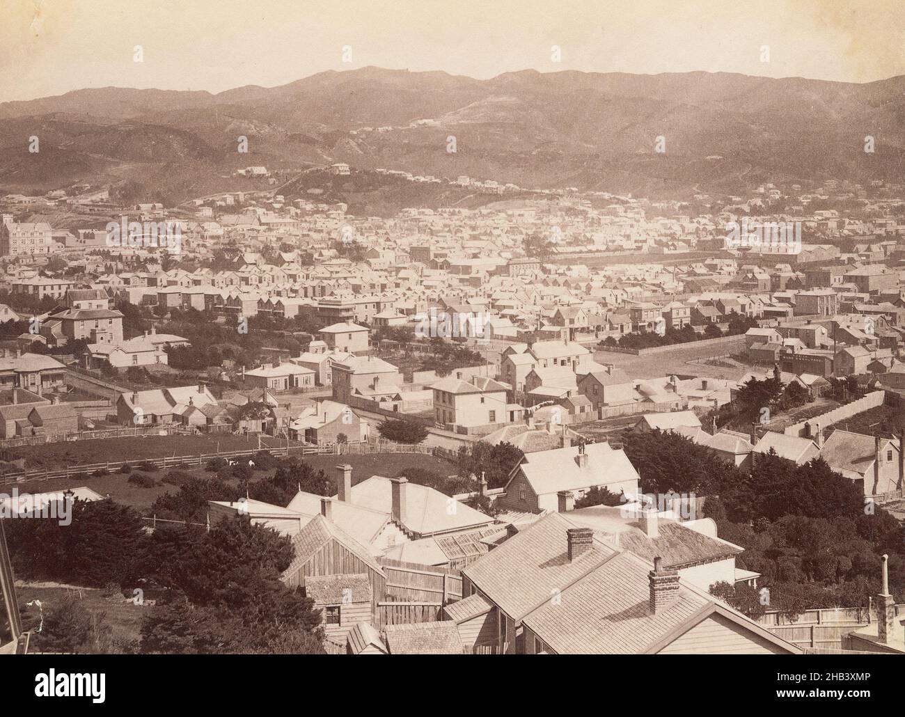 Te Aro, Wellington, Burton Brothers studio, 1880s, Wellington, View from approximately Hawker Street, Mt.Victoria looking South West with St. Pats College (by the Basin Reserve) just in view Stock Photo