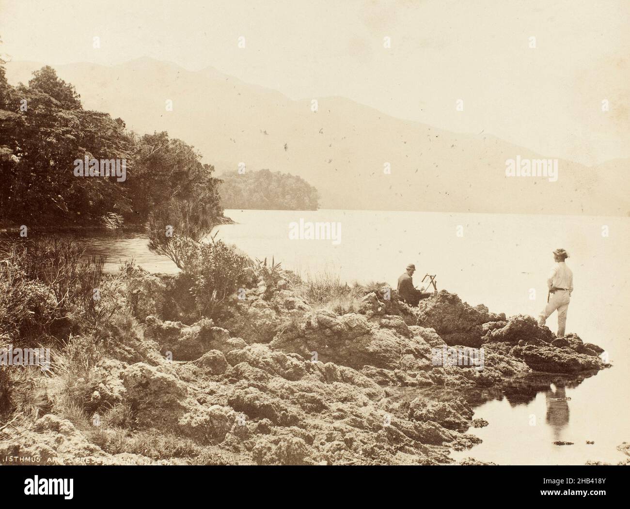New zealand preservation inlet hi-res stock photography and images - Alamy