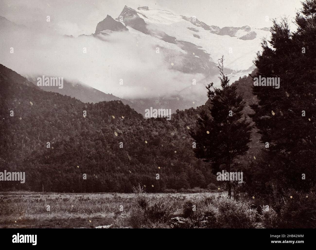 [Spur of Mount Aspiring], Burton Brothers studio, photography studio, 1880s, New Zealand, black-and-white photography Stock Photo